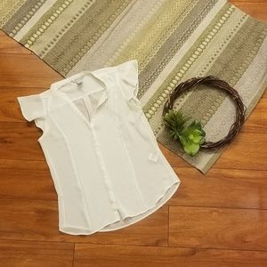 Sheer flutter sleeve button up top